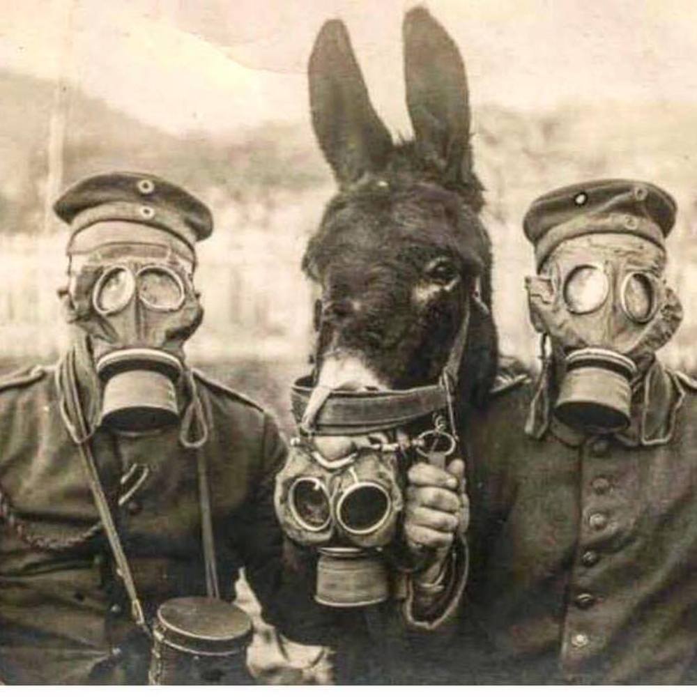 Meet your Posher, Tracey